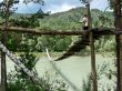 The bridge over river Katun