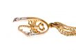 Golden scorpion