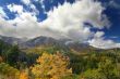 Fall Splender