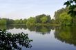 pond in forest