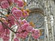 Spring tree
