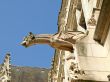 Gargoyle