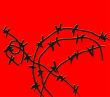 barbed wire