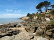 Ocean coast with rocks