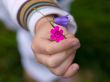Flowers in child hand