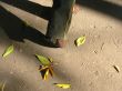 Walking