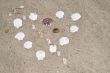 Seashell Heart