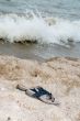 Sandals on the Beach
