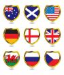 flag shield