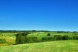 summer landscape
