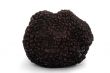 black truffle