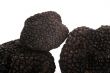 black truffle