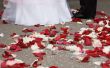 Petals of roses at feet