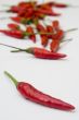 Chili peppers