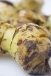 Galangal root