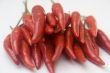 Chili  peppers against white background