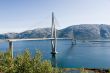 cable-braced bridge