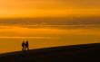 silhouettes of walking people