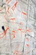 ancient rock carvings