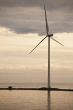 windmill