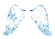 wings of the angel