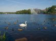 Beautiful lake in Poland