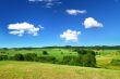 summer landscape
