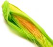 yellow corn
