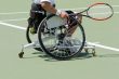 Wheelchair Tennis Player