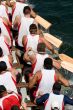 Dragon Boat