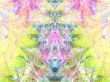 abstract background