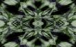 abstract background