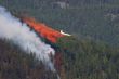Forest Fire Fighting B