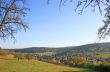 Autumnal Black Forest
