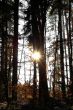 Sunlight in the dark