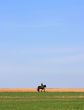 Lonely Rider