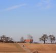 Country Life