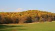 Colors of Autumn