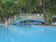 blue pool with bridge in a tropical setting