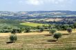 Marche - Landscape
