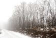 Fog