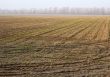 Field