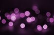 Holiday violet light