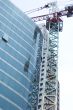 Crane