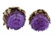 artichoke