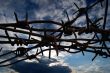 Barbed Wire