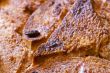 bread pudding