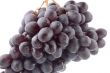 Raw grapes closeup