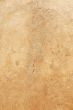 Texture