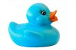 Blue plastic duck